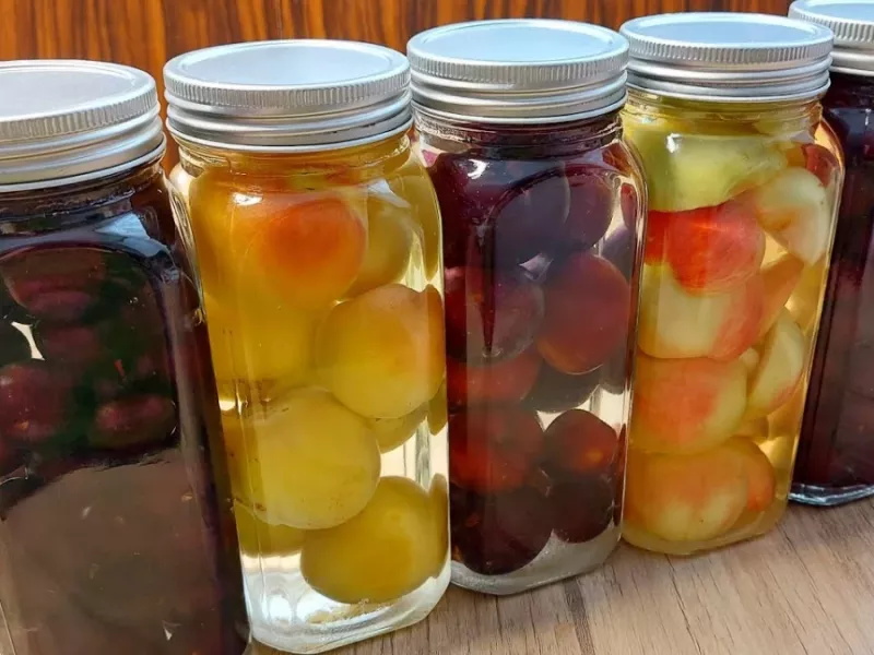 من میوه ها را به مدت 1 سال اینگونه نگهداری می کنم حتی خوشمزه تر از تازه است!