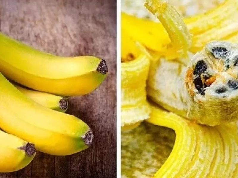 اگر فکر می کنید که موز واقعی می خورید،سخت در اشتباهید!