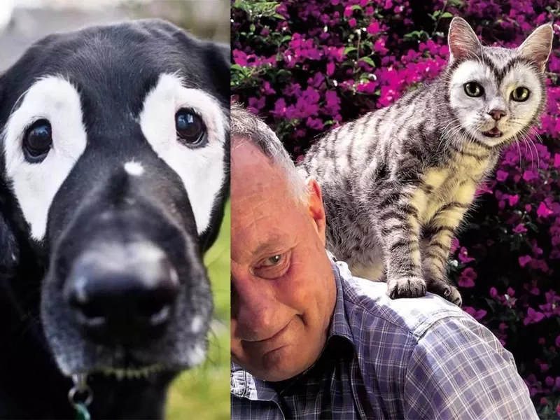 حیوانات معمولی که طبیعت آنها را بی نظیر ساخته است!