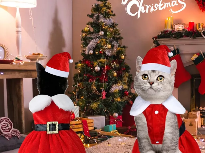 لباس کریسمس 2024 مخصوص گربه ی خونگی شما!