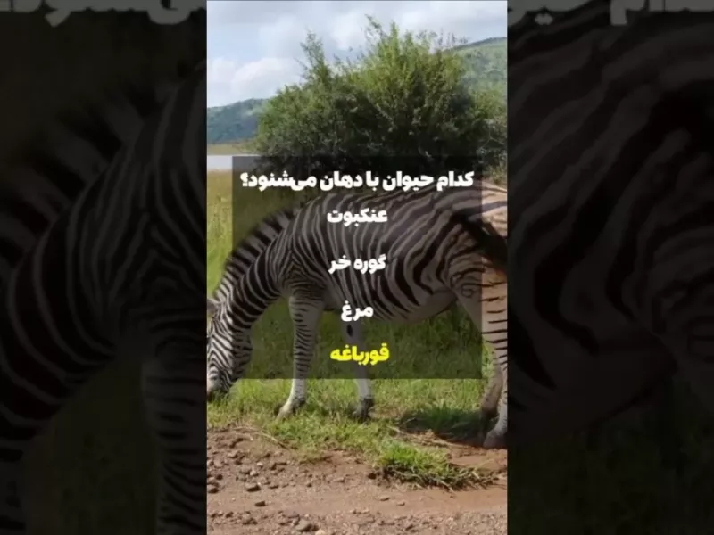 اطلاعات عمومیتو بیشتر کن / کدومشو میدونستی؟!