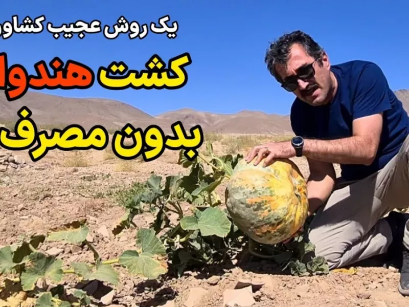 یک روش عجیب کشاورزی بدون آبیاری! / کاشت هندوانه بدون مصرف آب !