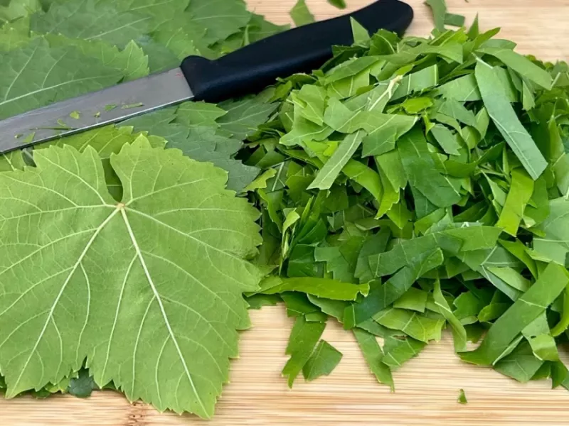 من یک دستور غذای افسانه ای با برگ انگور برای شما دارم !