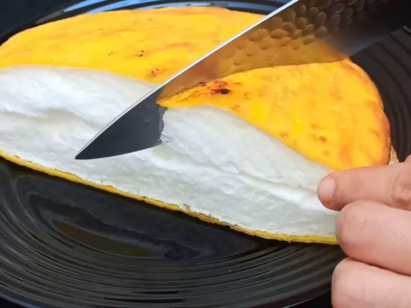 فقط با یک ماده / دستور پخت املت ژاپنی !