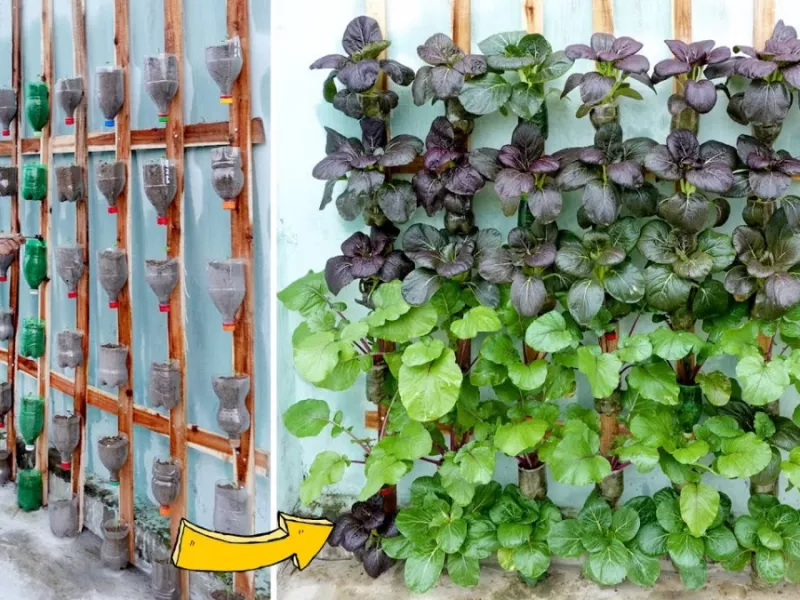 بدون نیاز به باغ، یک دیوار کوچک را به یک باغ سبزی سرسبز تبدیل کنید!