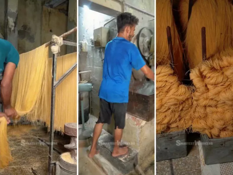 اگر این کلیپ رو ببینی ماکارونی فله ای نمیخری / کارخانه تولید ماکارونی در هند !